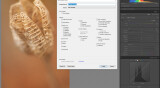 How to Create Your Own Lightroom Presets (Step By Step)