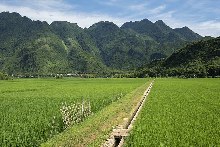 1DaytimeLandscape.jpg 1DaytimeLandscape