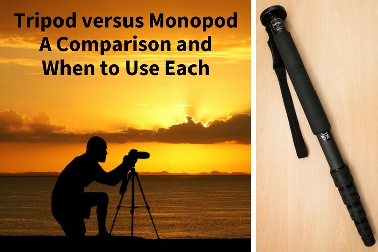 Tripod versus Monopod a Comparison and When to Use Each