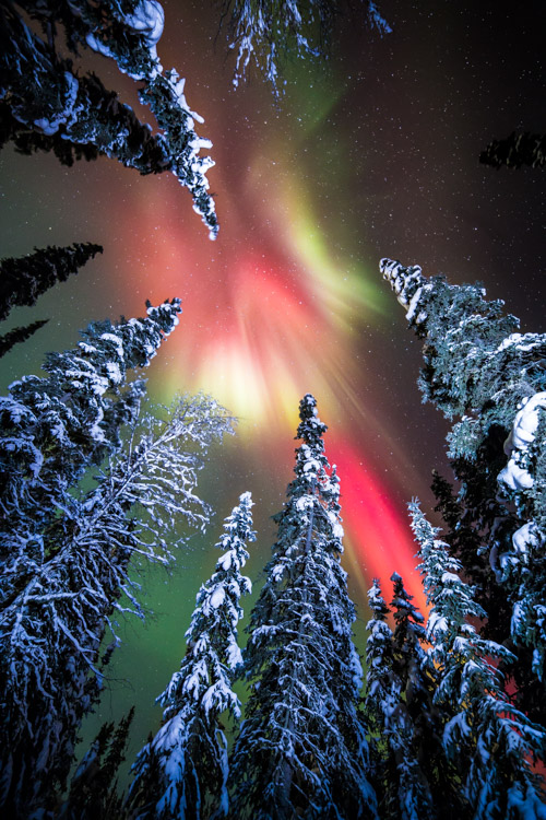 How To Photograph Northern Lights (The Aurora Borealis)