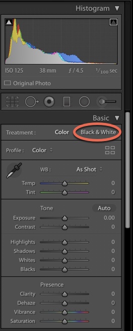 How To Develop Better Black And White Photos In Lightroom