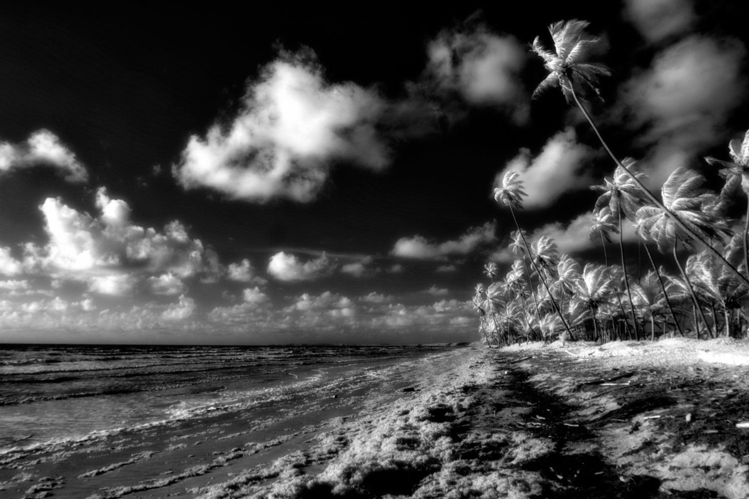 how-to-edit-black-and-white-photos-a-quick-guide