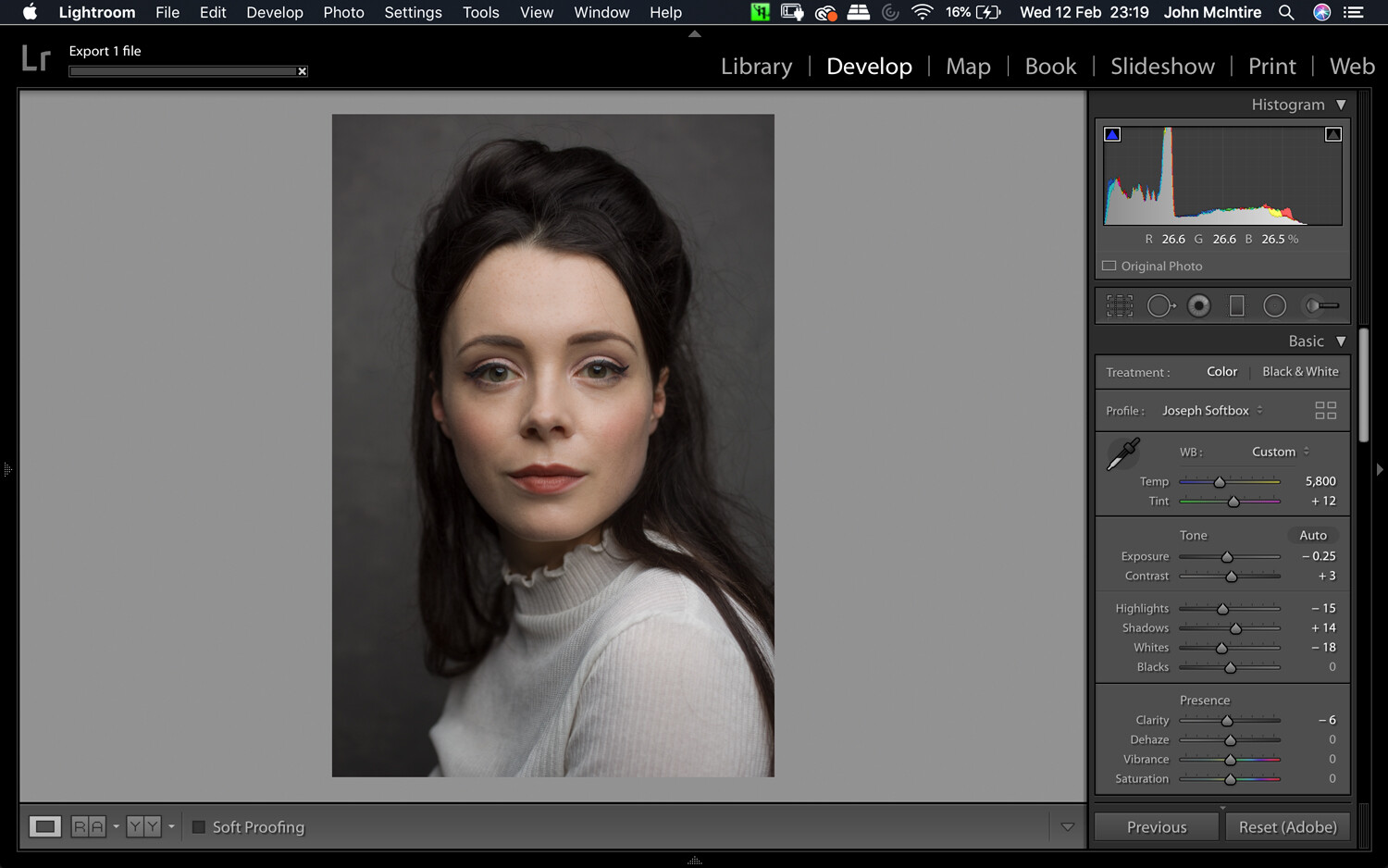 How To Use The Photoshop Camera Raw Filter For Better Photo Editing