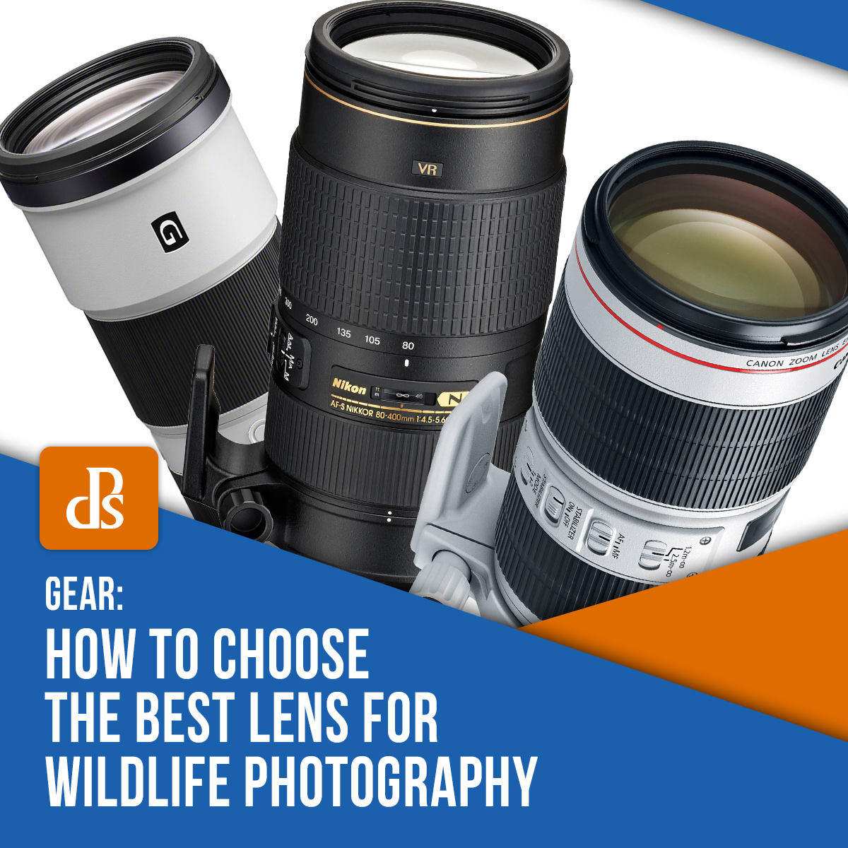 How To Choose The Best Lens For Wildlife Photography