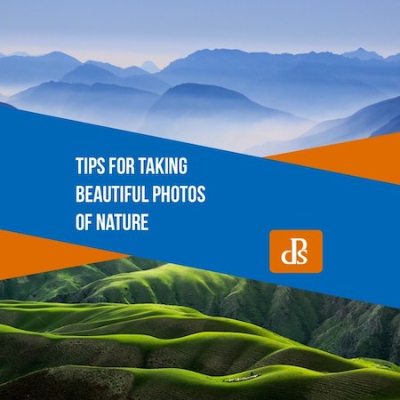 Photo Tips