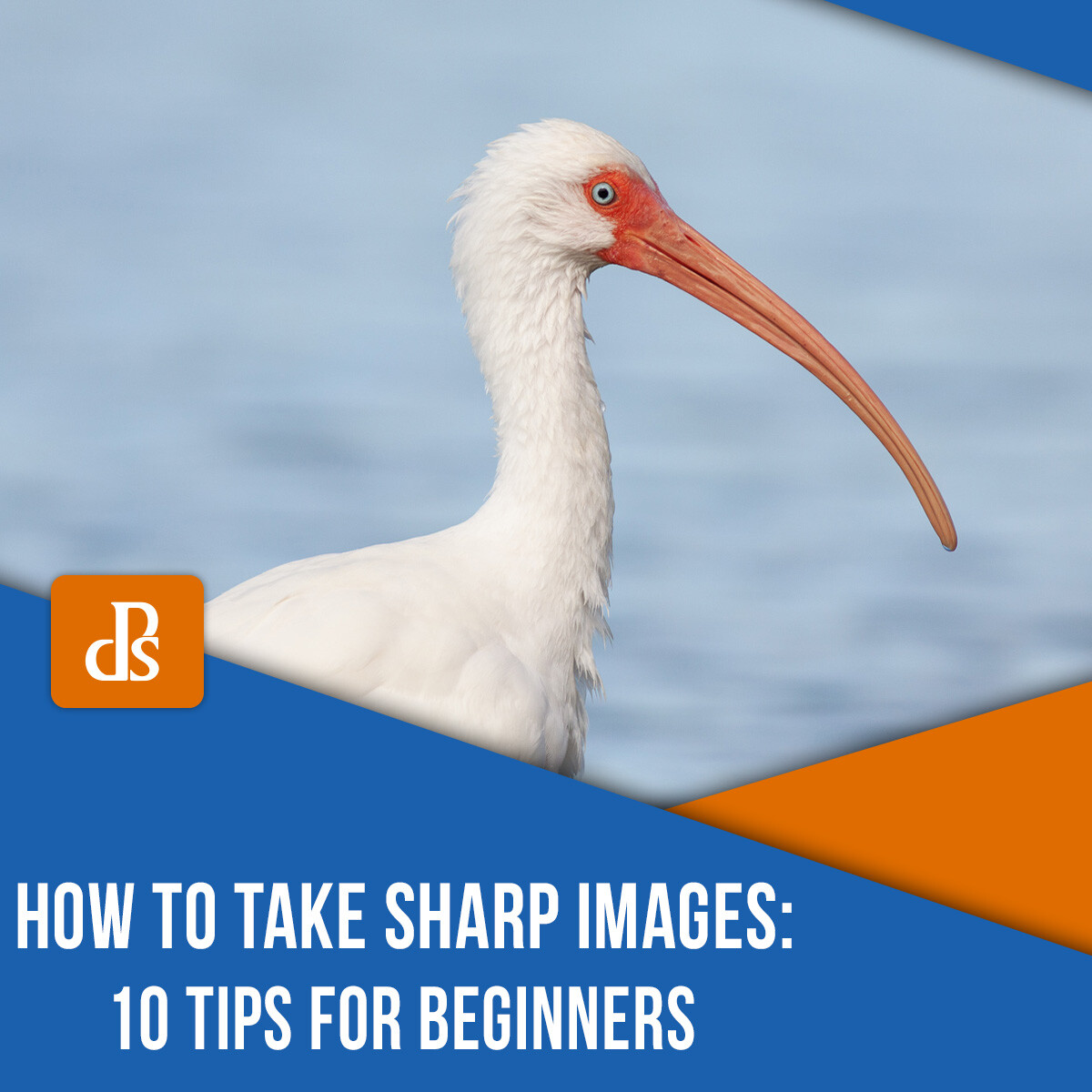 How To Take Sharp Images