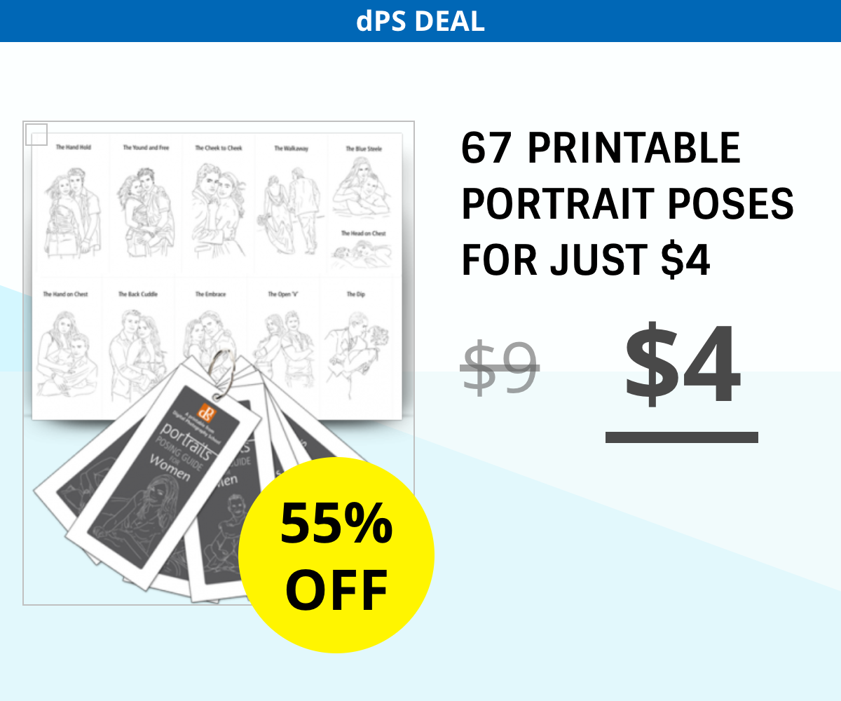 67 Printable Portrait Poses for just $4
