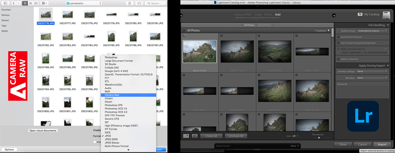 Adobe Camera Raw Vs Lightroom: Which Is Best?