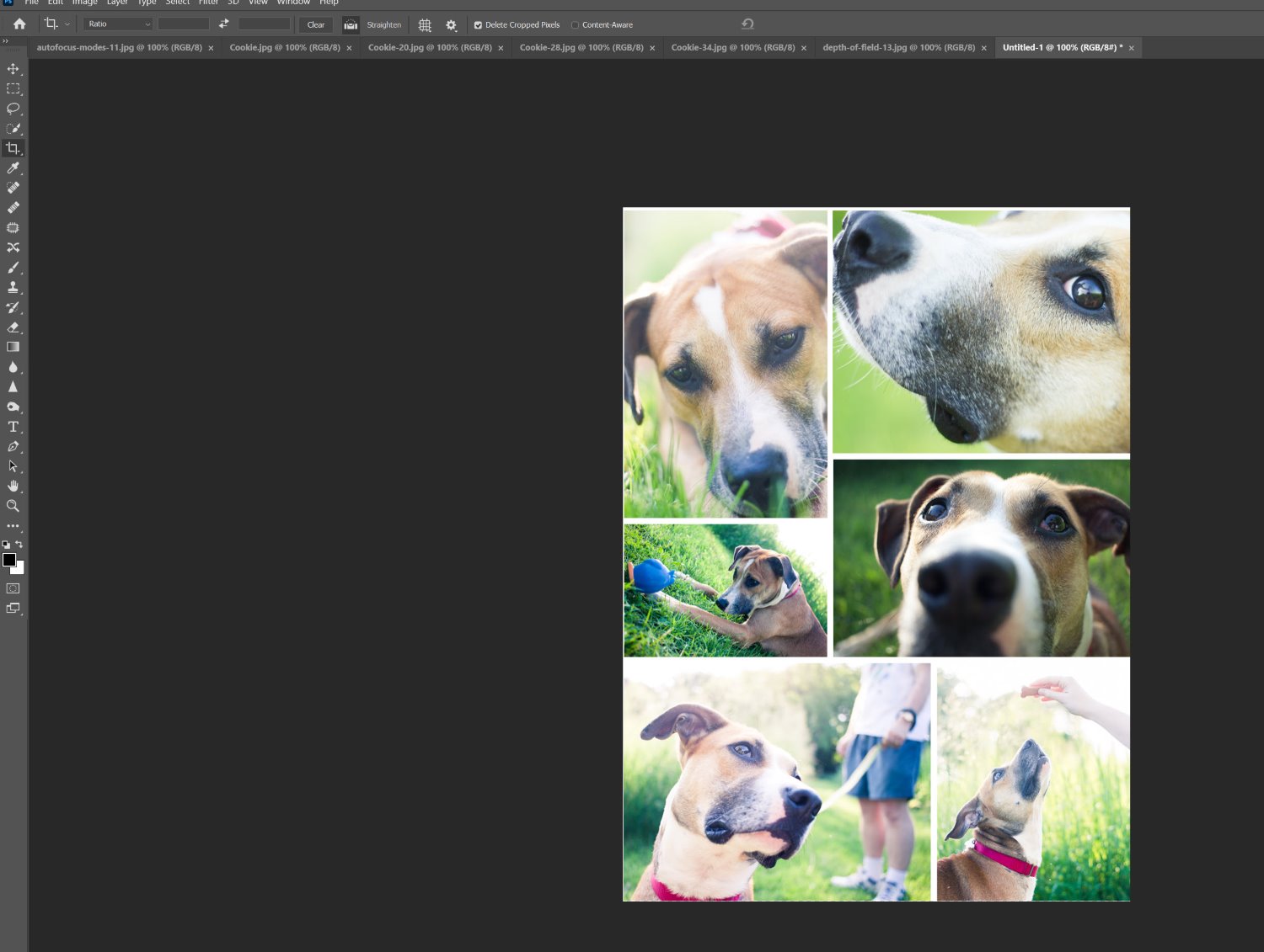 How to Make a Collage in Photoshop 9 Easy Steps!