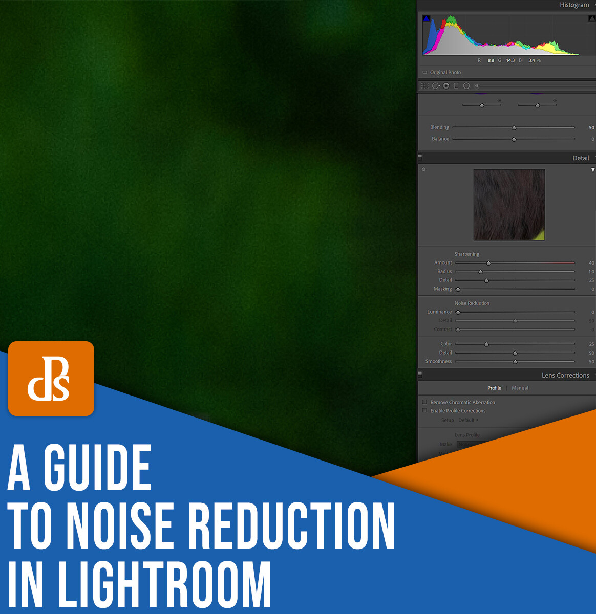 How To Do Noise Reduction In Lightroom (Step By Step)