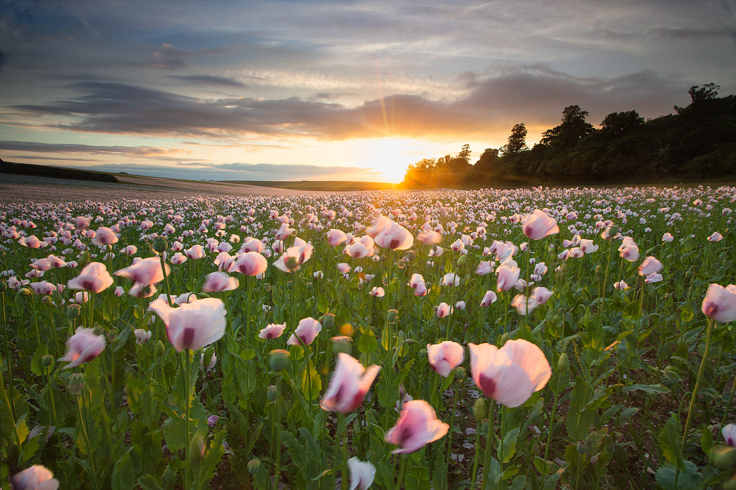 10 Summer Landscape Photography Tips (+ Examples)