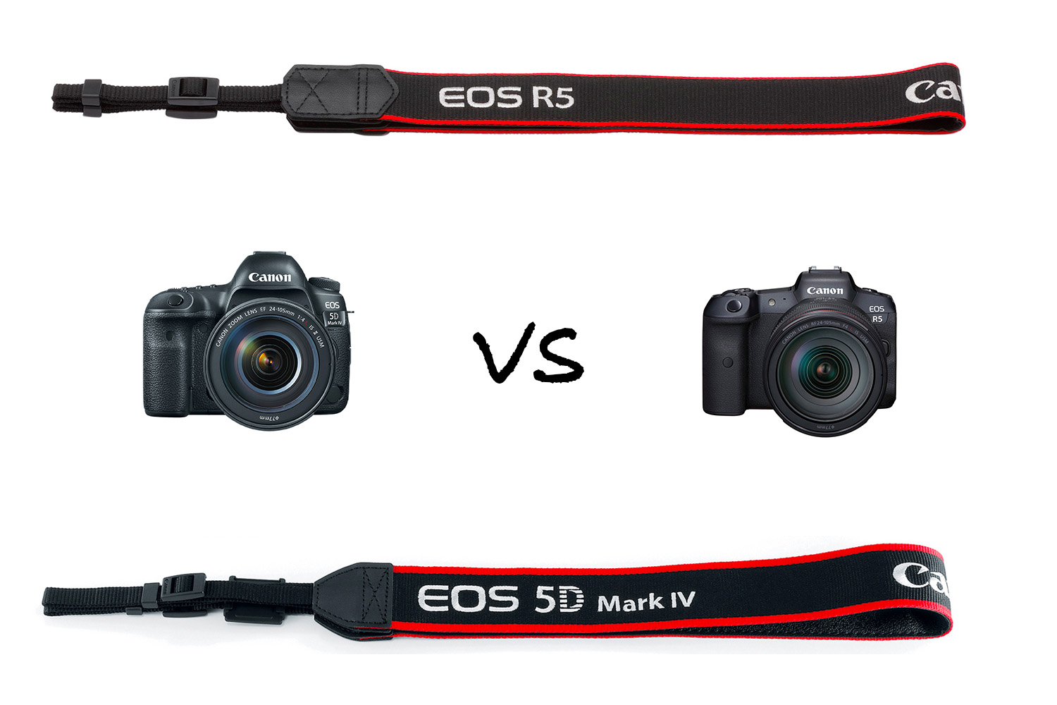 Canon EOS R5 vs Canon 5D Mark IV: Which Camera Is Best in 2022? 