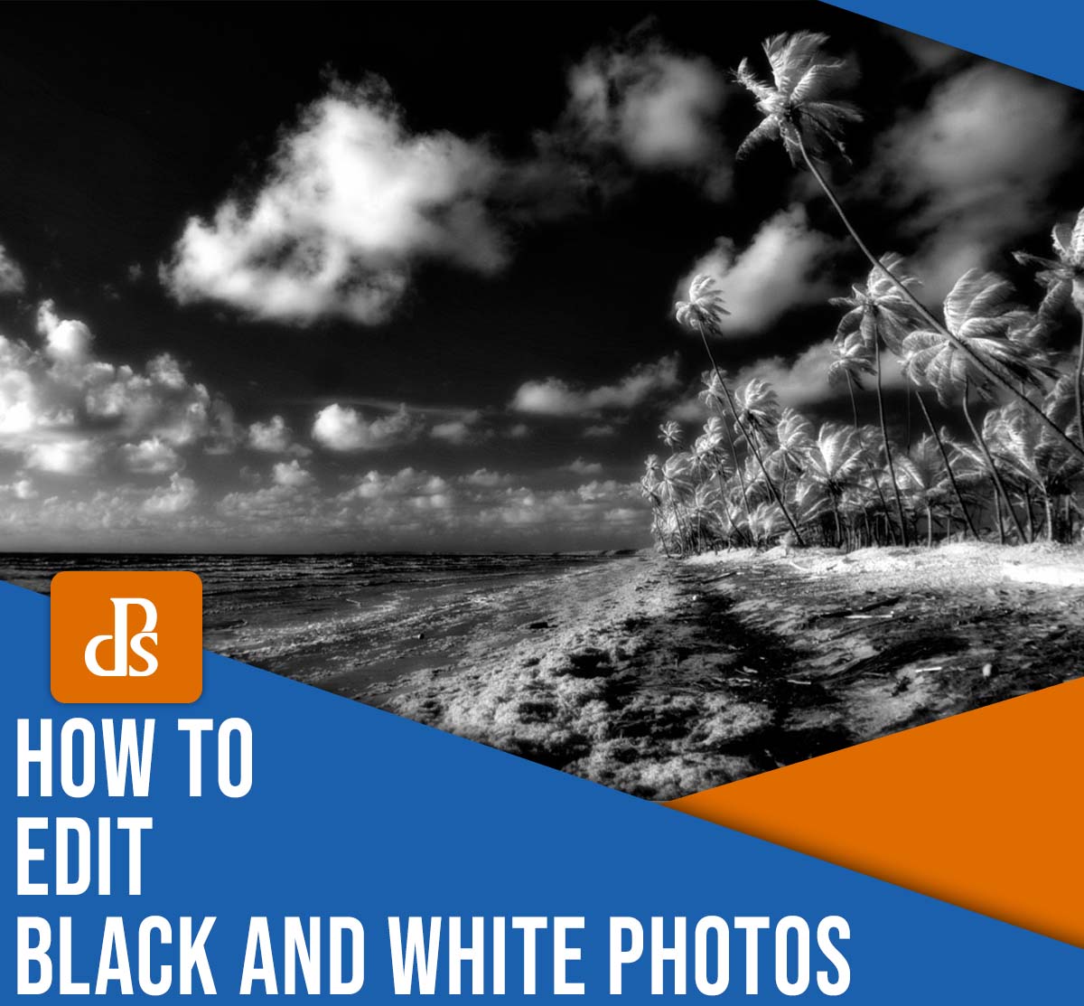 How To Edit Black And White Photos (A Quick Guide)