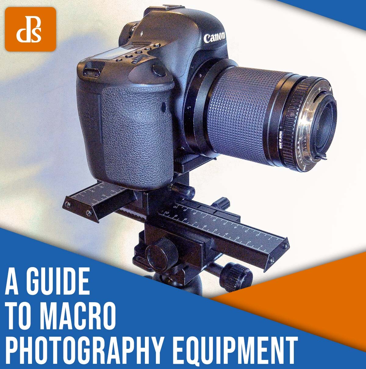 Your Guide To Macro Photography Equipment (10 Tips)