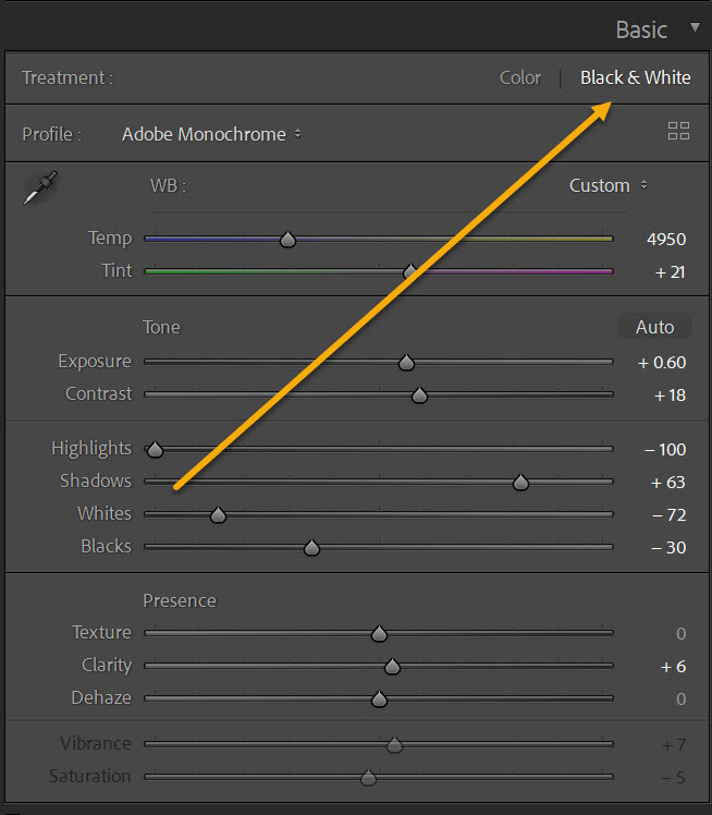 How To Convert To Black And White In Lightroom (Quick Guide)