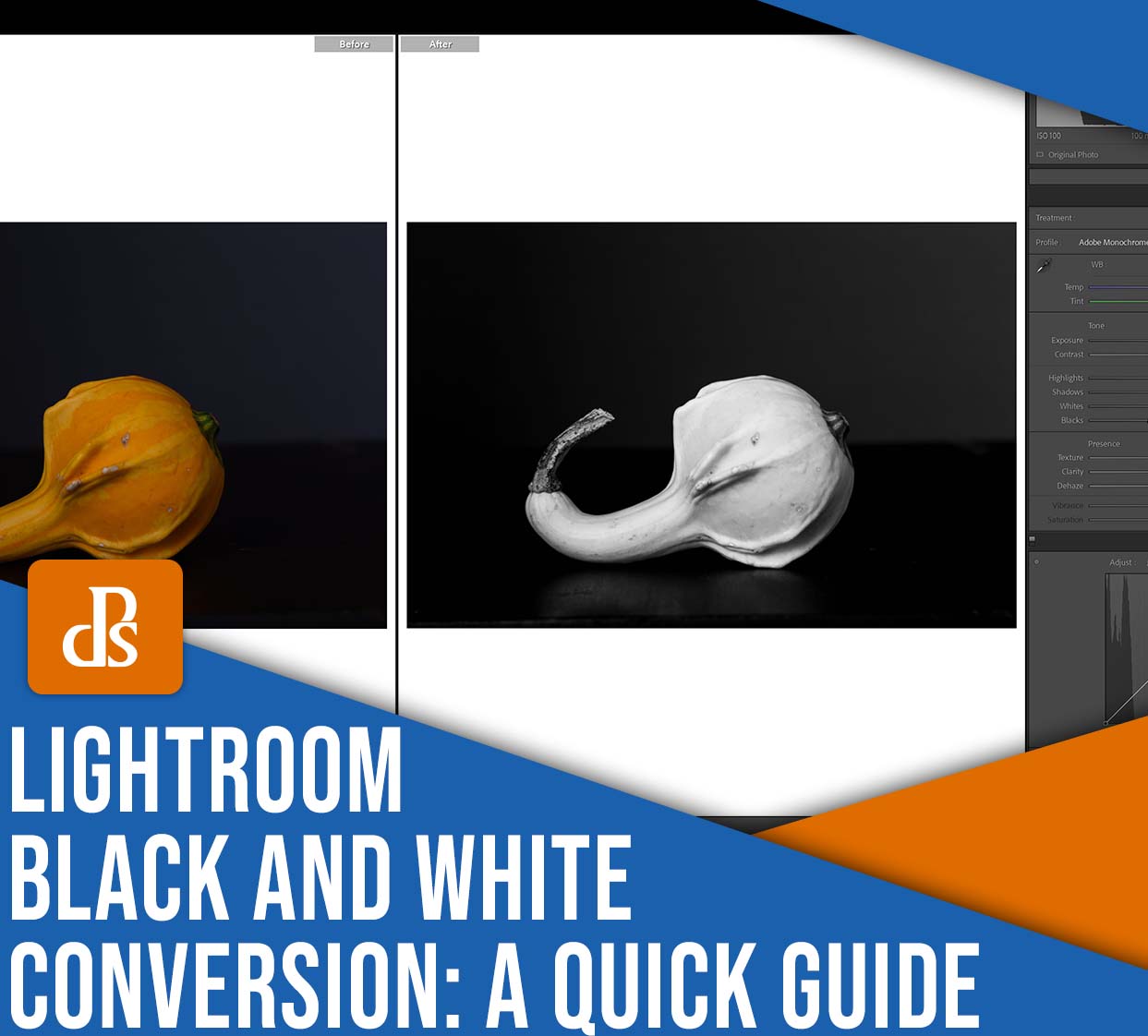 How To Convert To Black And White In Lightroom (Quick Guide)