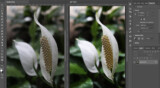 Overlay Blend Mode: A Comprehensive Guide