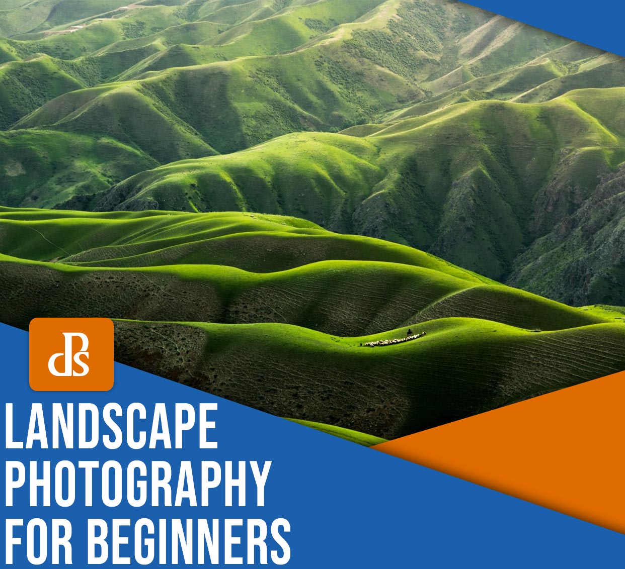 Landscape Photography For Beginners: A Comprehensive Guide