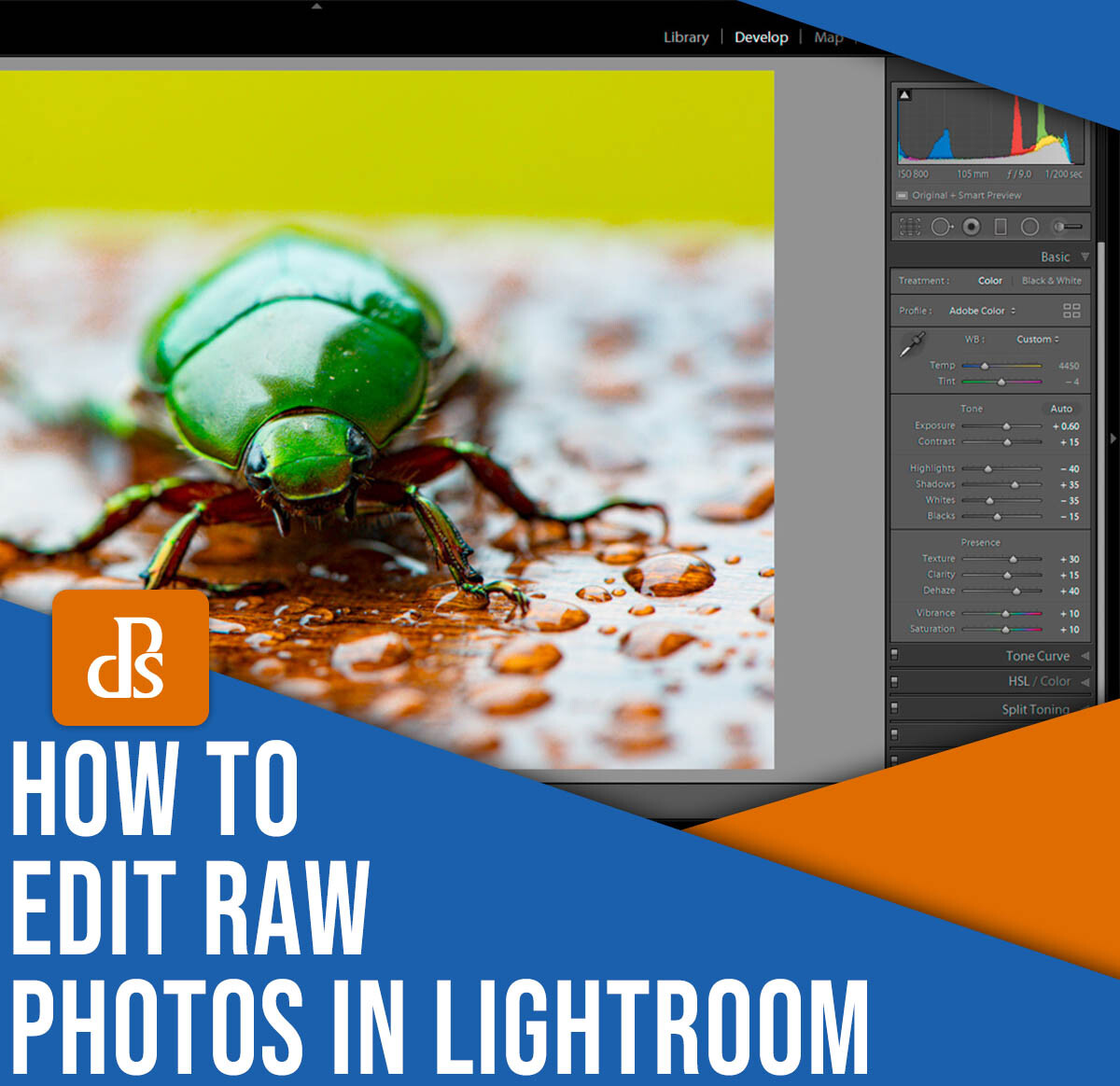 Editing RAW Photos In Lightroom: 5 Essential Tips