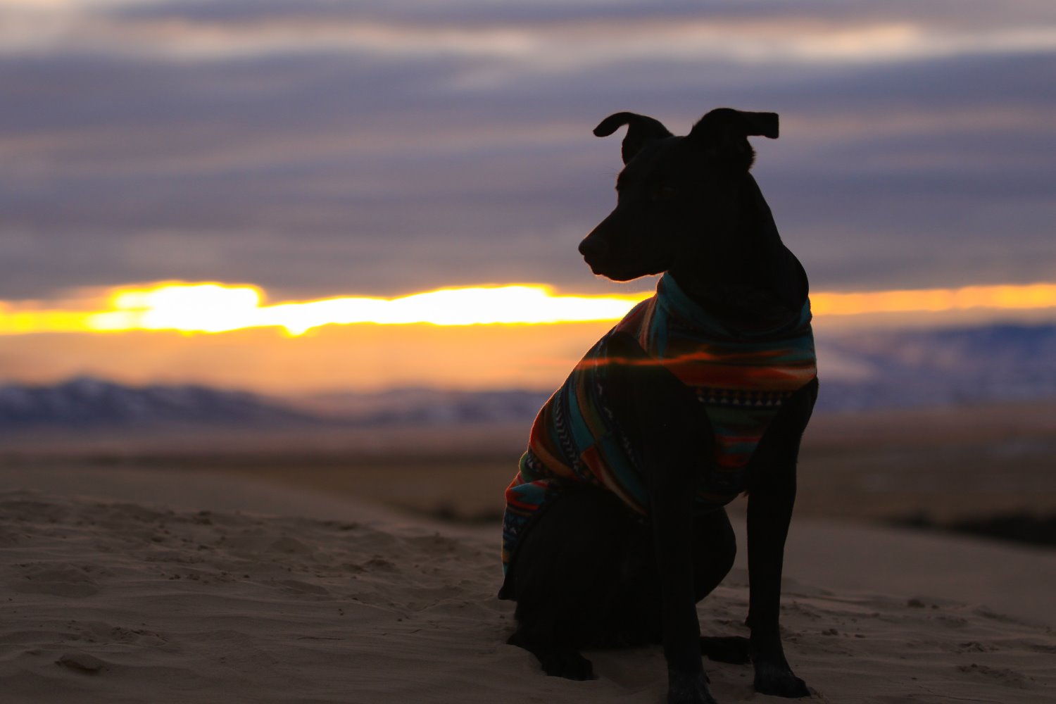Silhouette photography