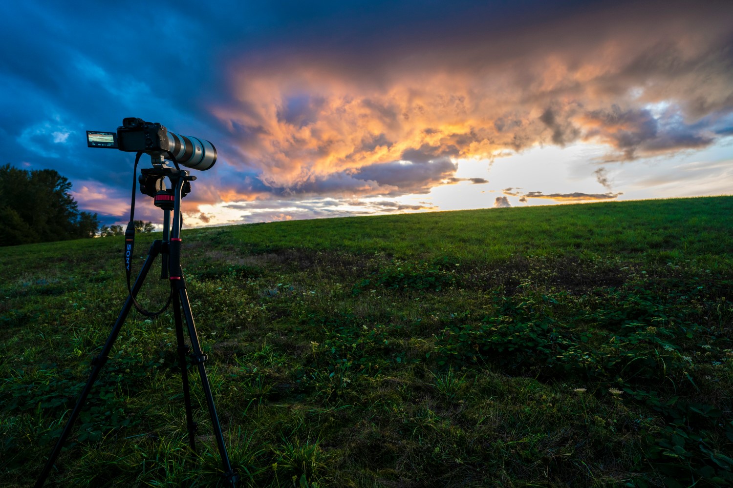Methods to Get Sharp Pictures With a Tripod: 6 Important Suggestions