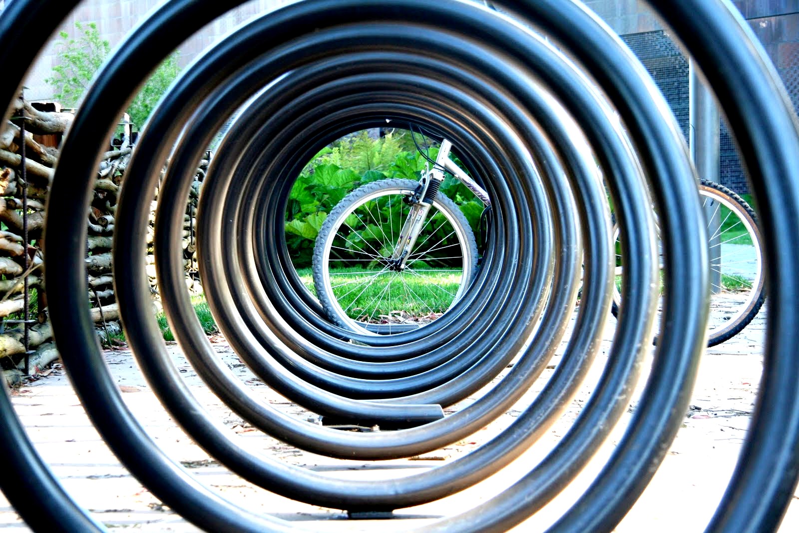 Round and Round - 19 Images of Circular Things