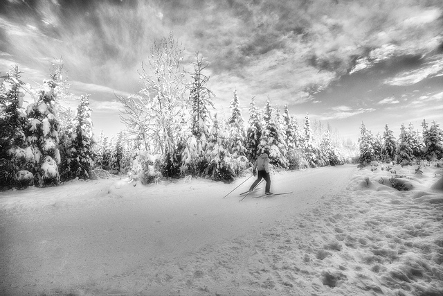 Walking in a Winter Wonderland - Winter Photography to Motivate you
